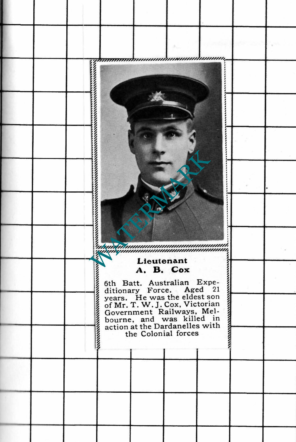 Lt A B Cox 6th Batt Australian Expeditionary Force WW1 - c.1918 SMALL Clipping
