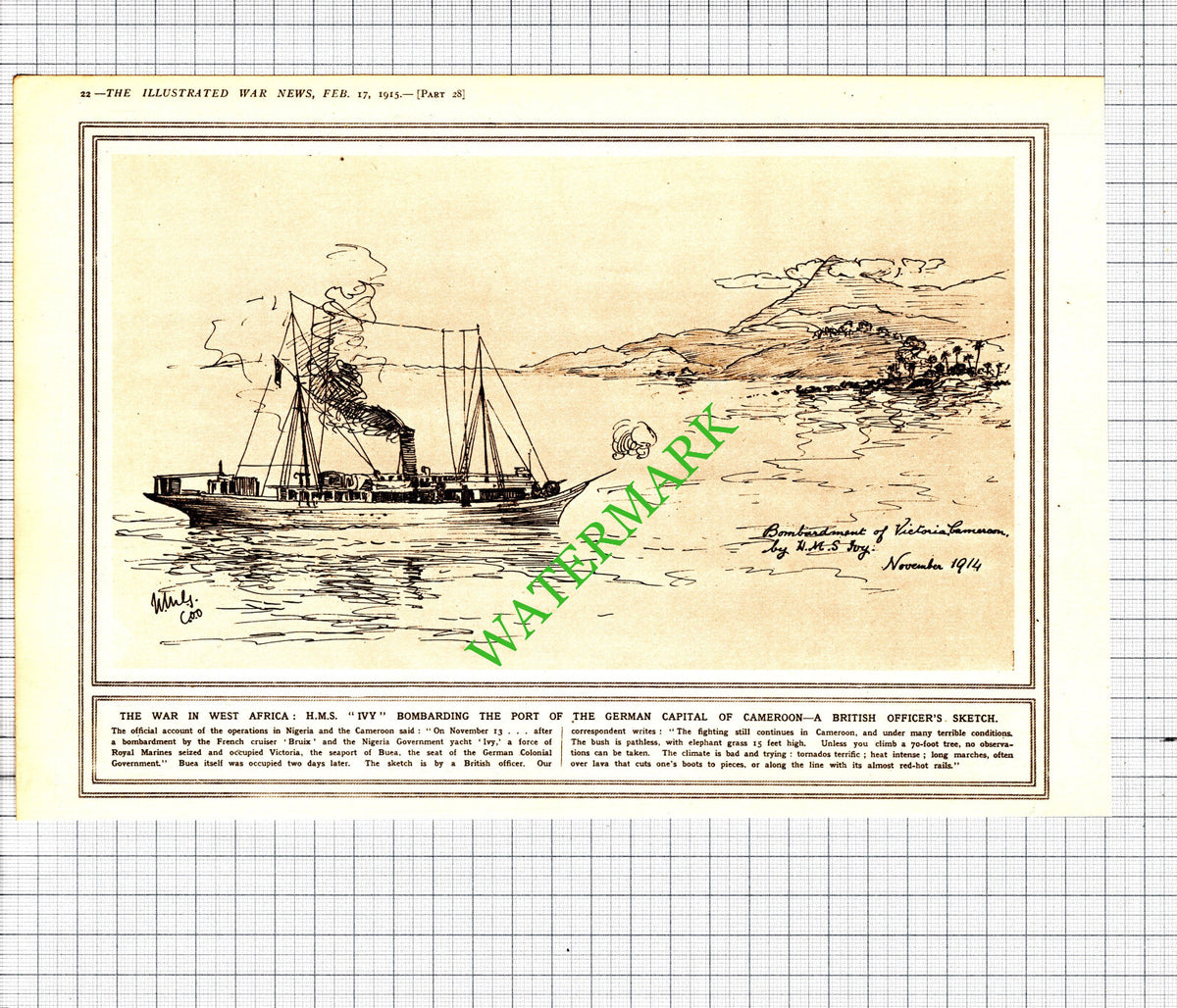 HMS IVY Ship West Africa Cameroon Great War WW1 - 1915 Cutting / Print