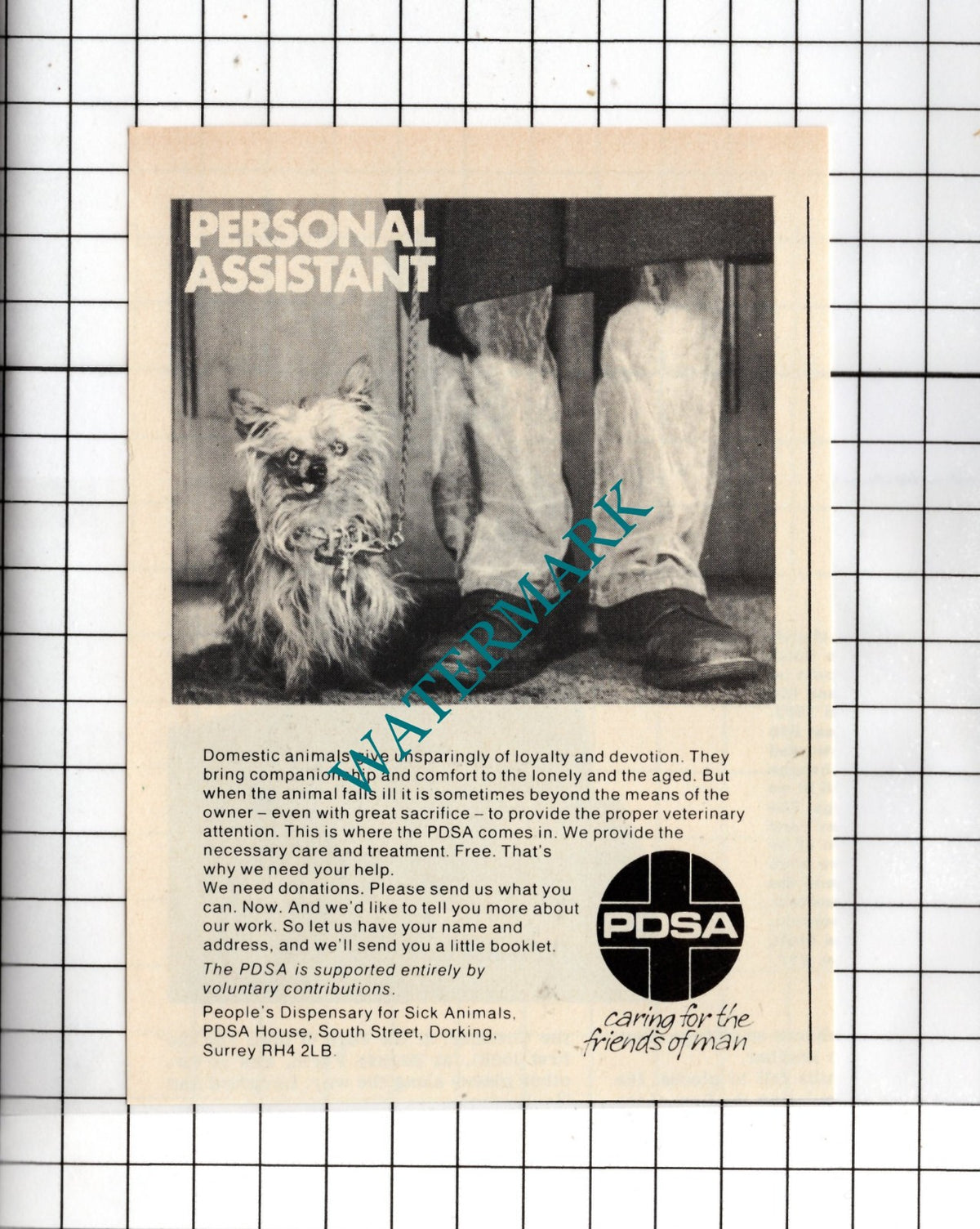 PDSA Advert - 1975 Small Clipping