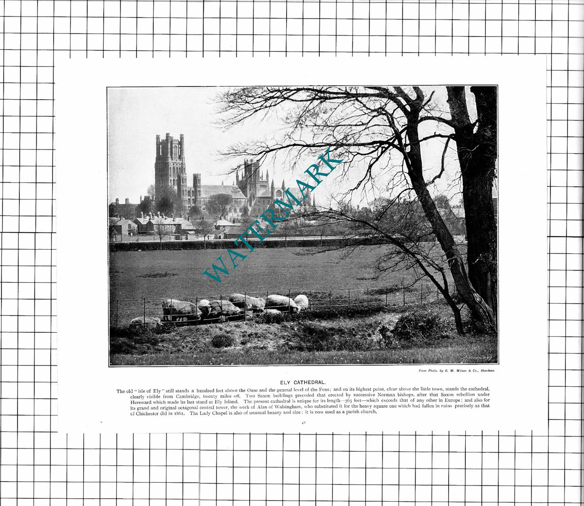 Chesterfield Derbyshire / Ely Cathedral - c.1900 Cutting/ PRINT