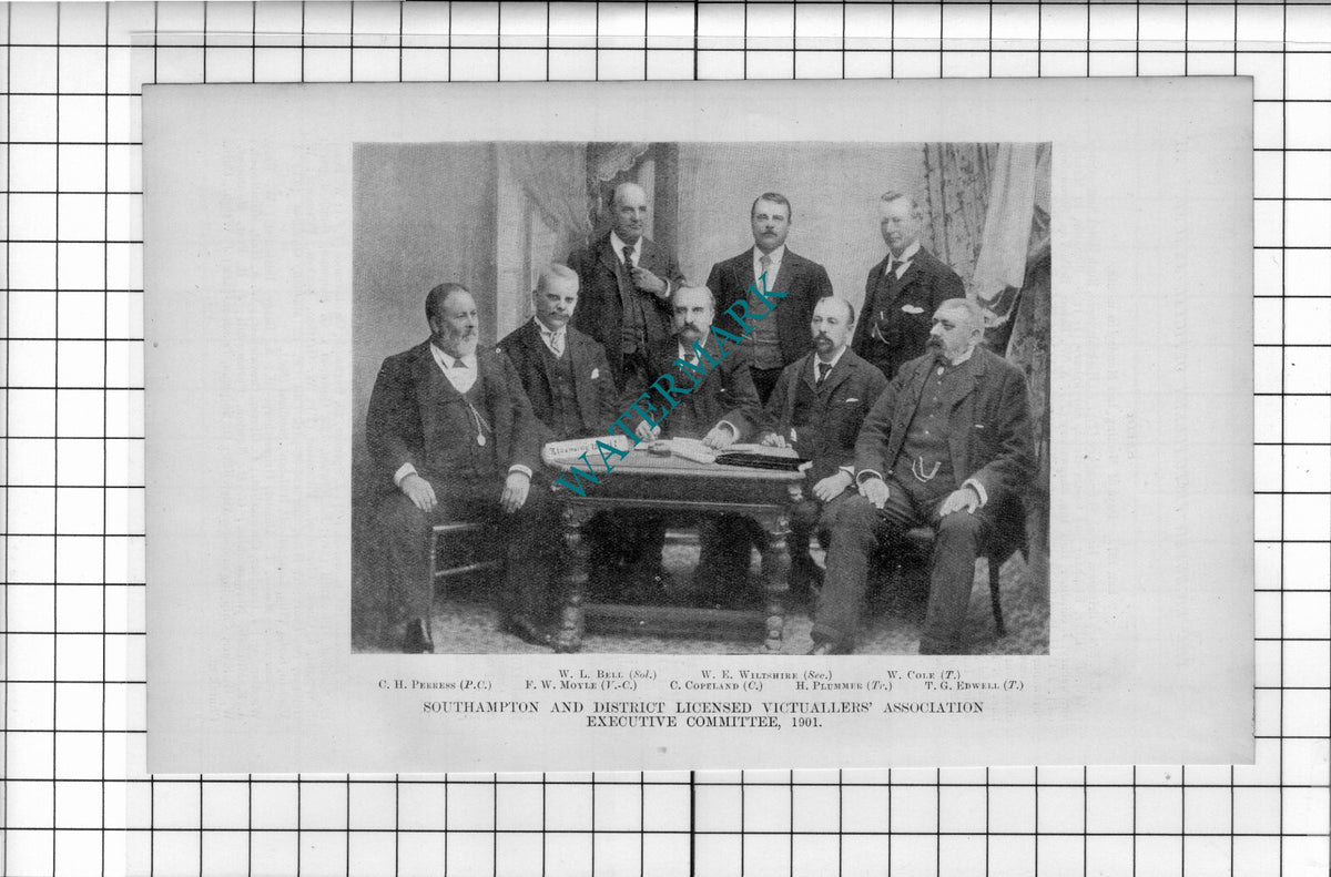 Southampton Licenced Victuallers Peerless Moyle Edwell Copeland - 1902 Cutting