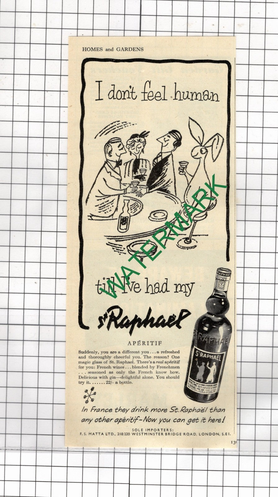 St Raphael Aperitif - 1955 Advert