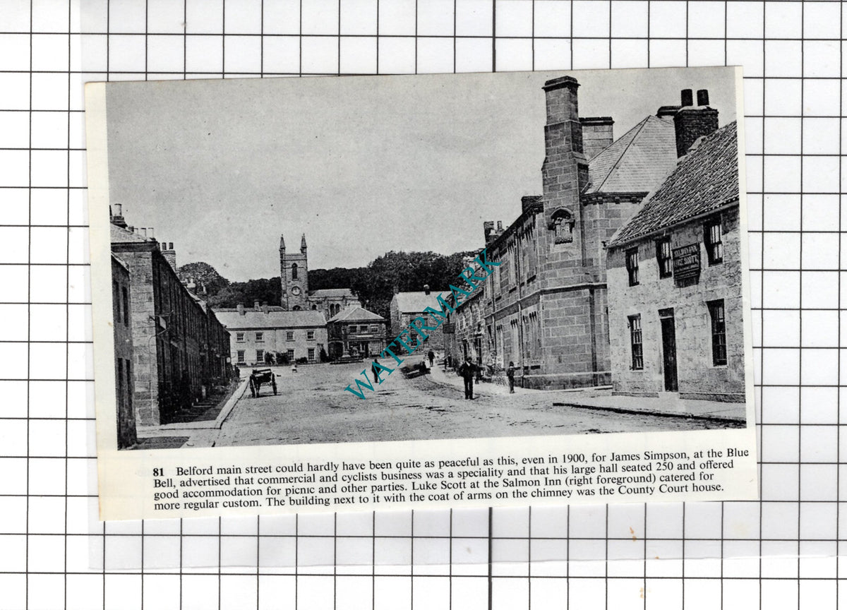 Belford Northumberland Salmon Inn - Small Cutting