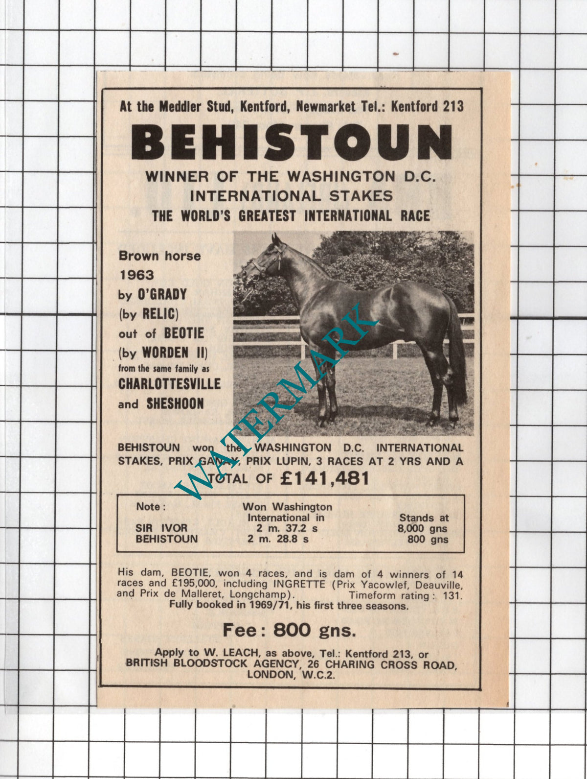 Behistoun Horse Meddler Stud Kentford Newmarket Sale Advert -1971 Small Cutting
