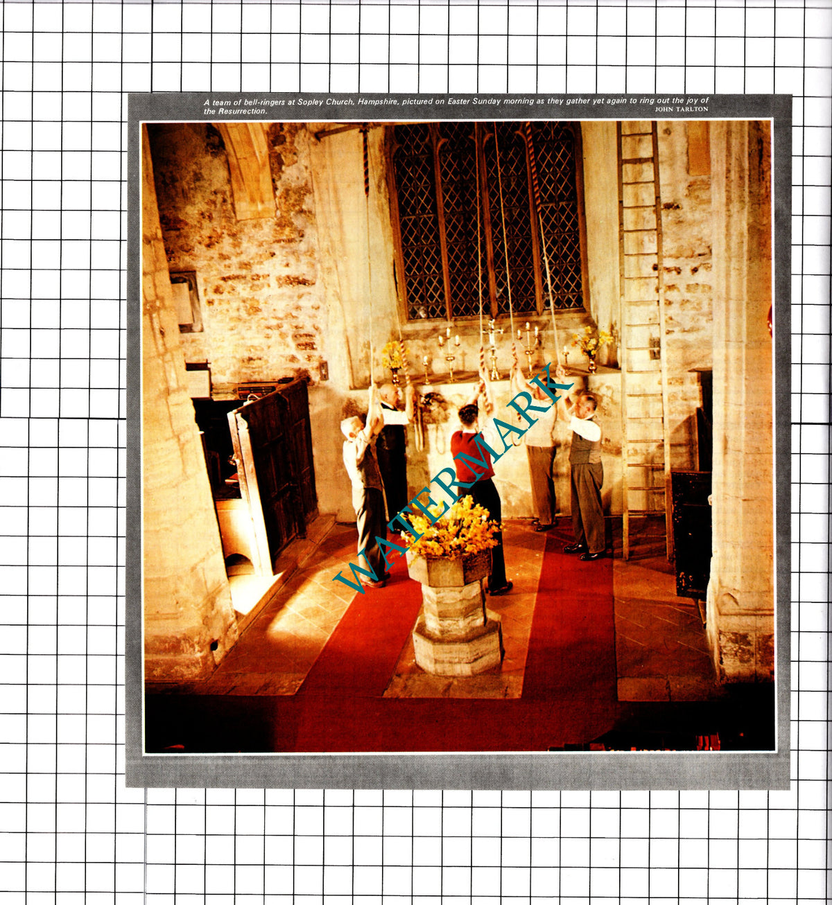 Sopley Hampshire Church Bell Ringers - 1976 Clipping / Print