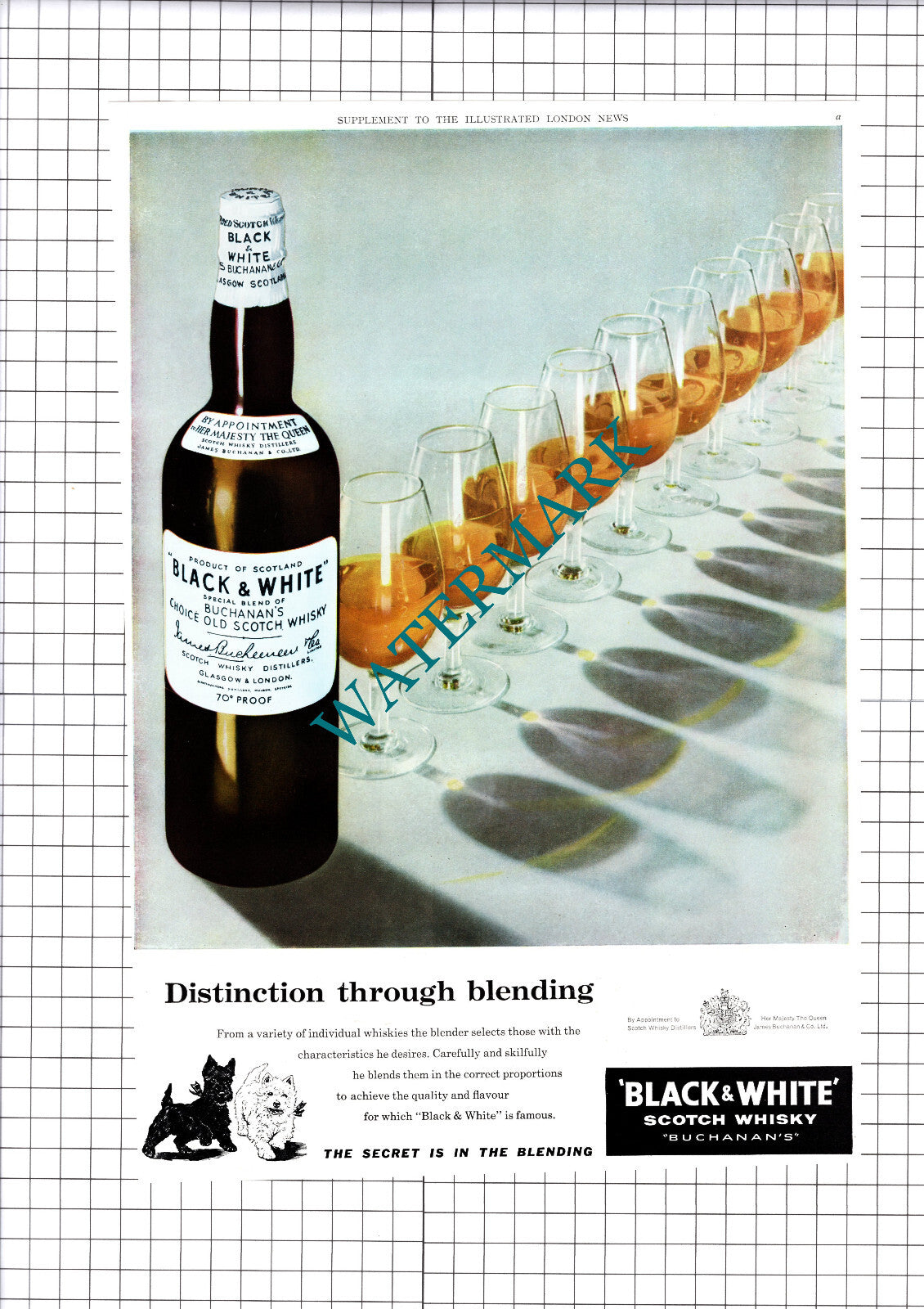 Black & White Buchanan's Whisky Advert - 1961 Cutting / Print