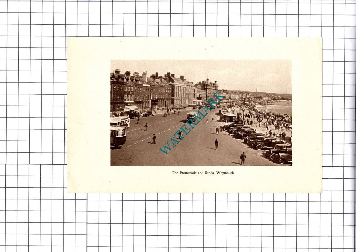 Weymouth Dorset - 1930 Cutting / Print