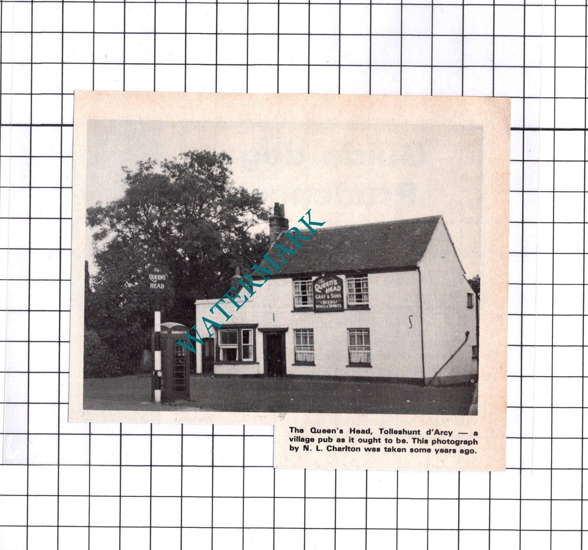 The Queen's Head Tolleshunt D'Arcy Essex - 1976 Clipping / Print