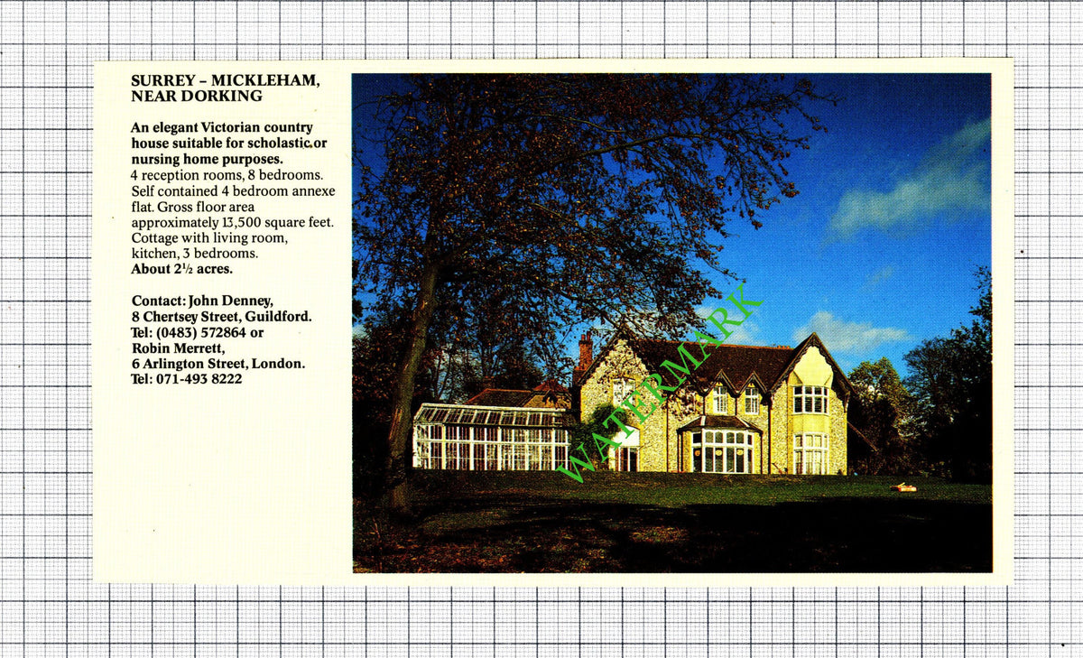 Henley-on-Thames / Mickleham Surrey House Sale Advert - 1991 Cutting