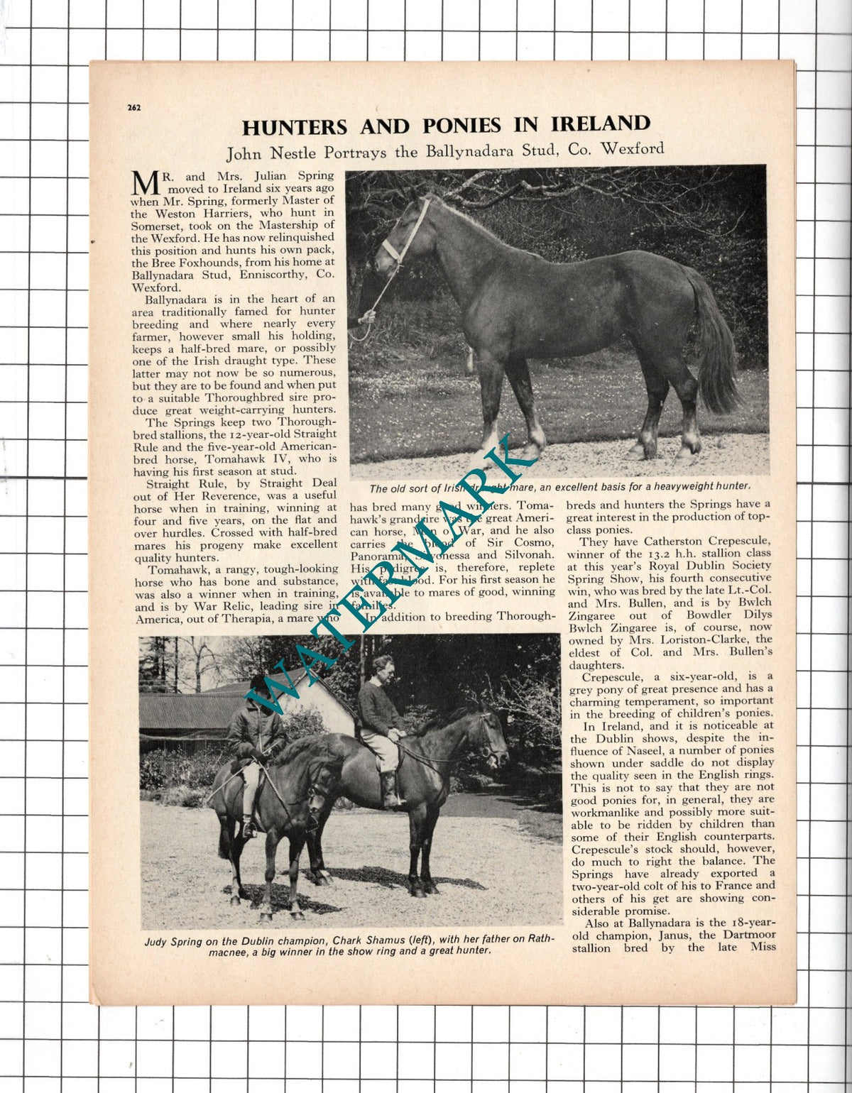 The Ballynadara Stud Co Wexford Ireland Mr Julian Spring - 1967 Article