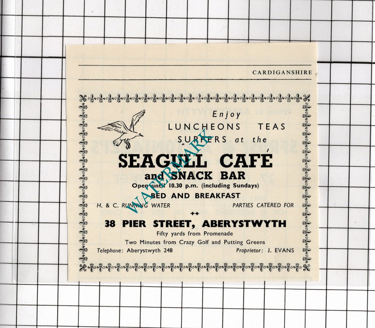 Seagull Cafe Aberystwyth Wales J Evans Small Advert - 1953 Clipping