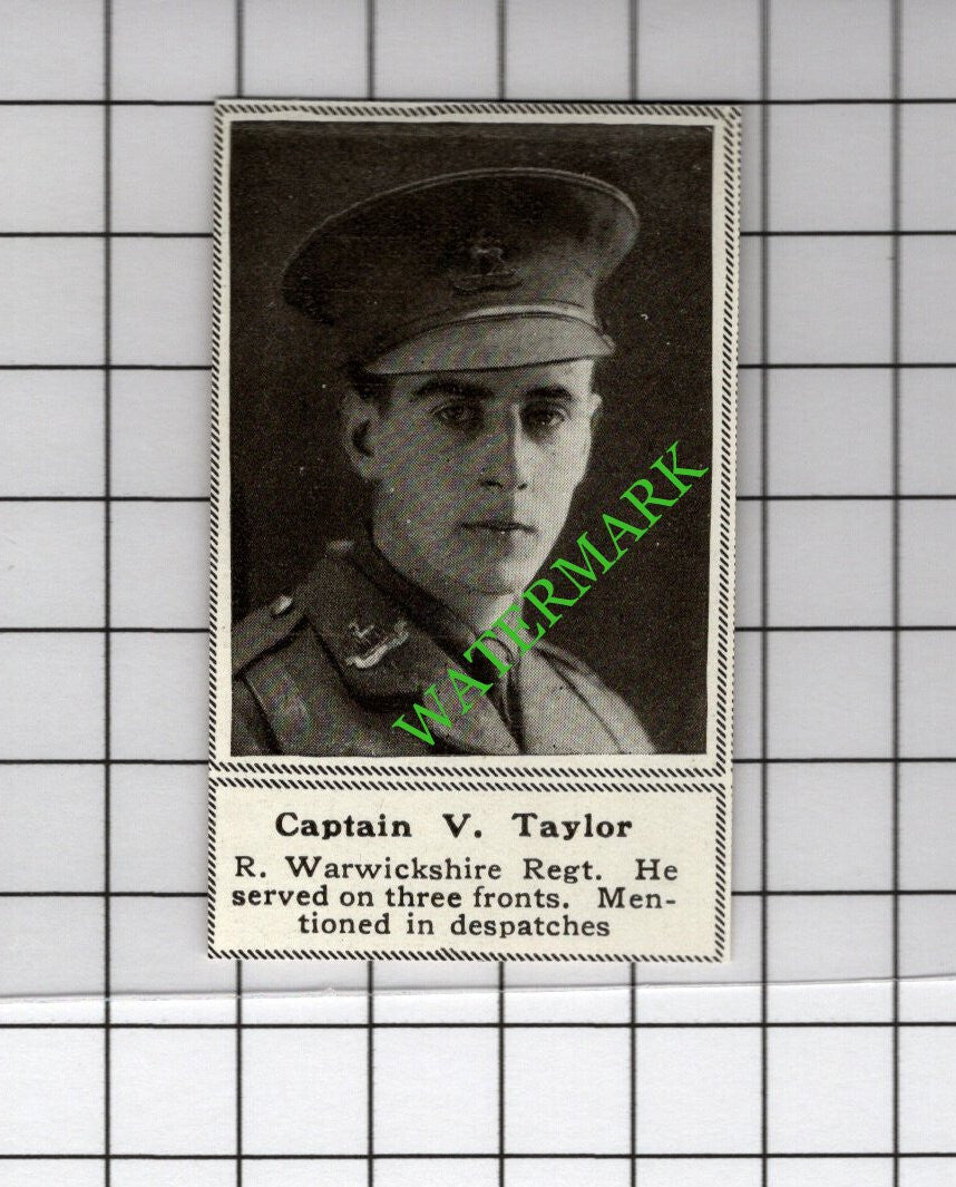 Captain V Taylor Royal Warwickshire Regiment Great War WW1 - 1918 SMALL Cutting