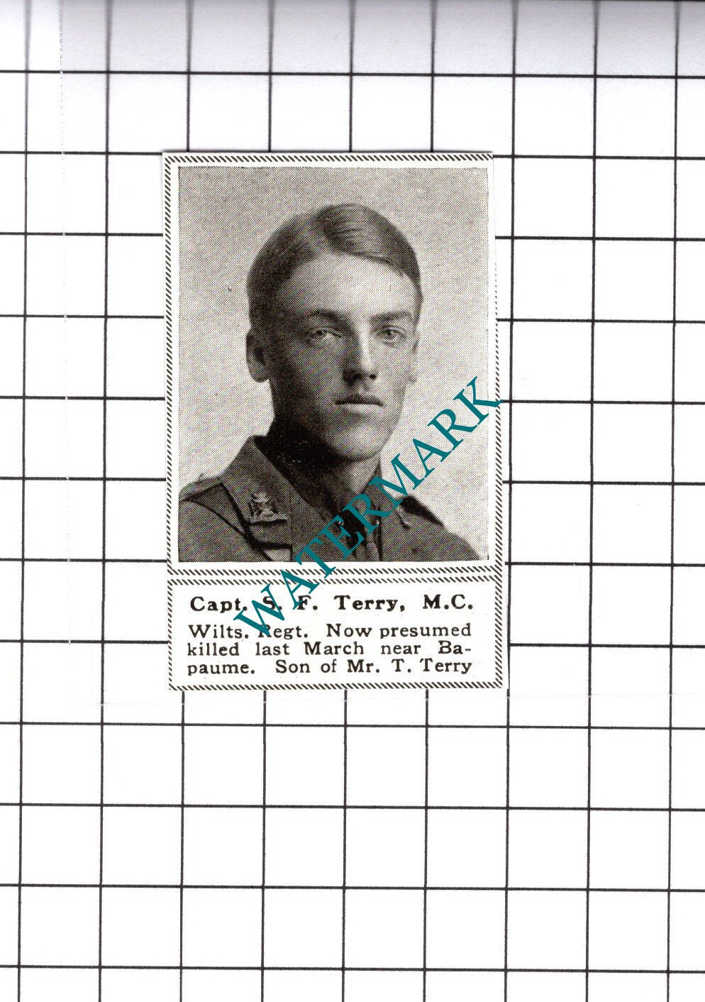 Captain S F Terry Wiltshire Regiment| Great War WW1 - 1919 SMALL Cutting