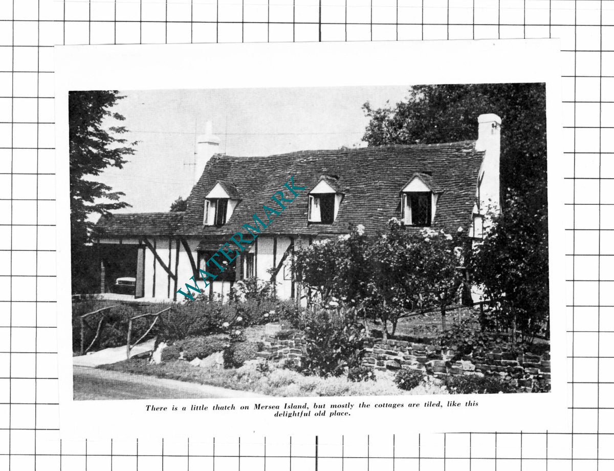 Mersea Island Essex Cottages - 1962 Clipping / Print