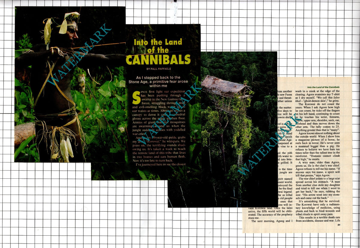 Korowai Tribe - 1996 Small Article