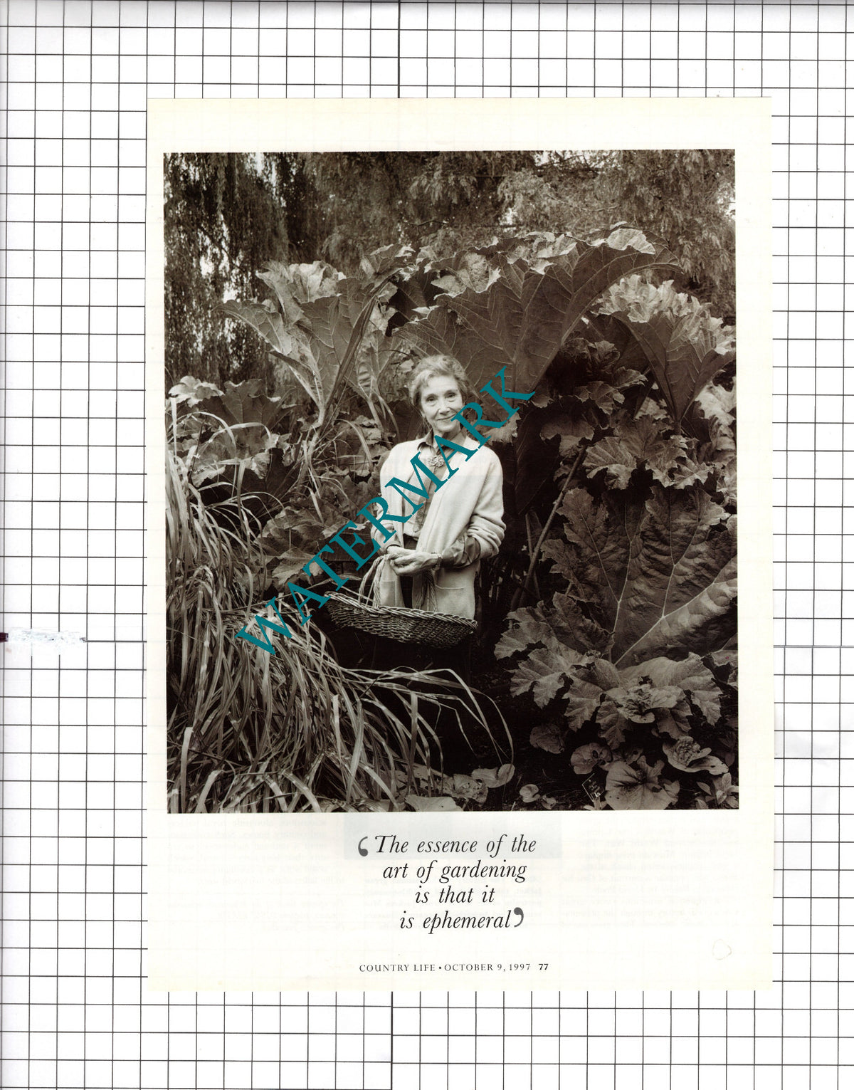 Beth Chatto Gardener - 1997 Article