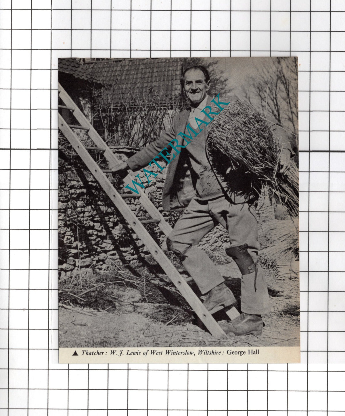 Mr W J Lewis West Winterslow Wilthshire Thatcher - 1972 Cutting