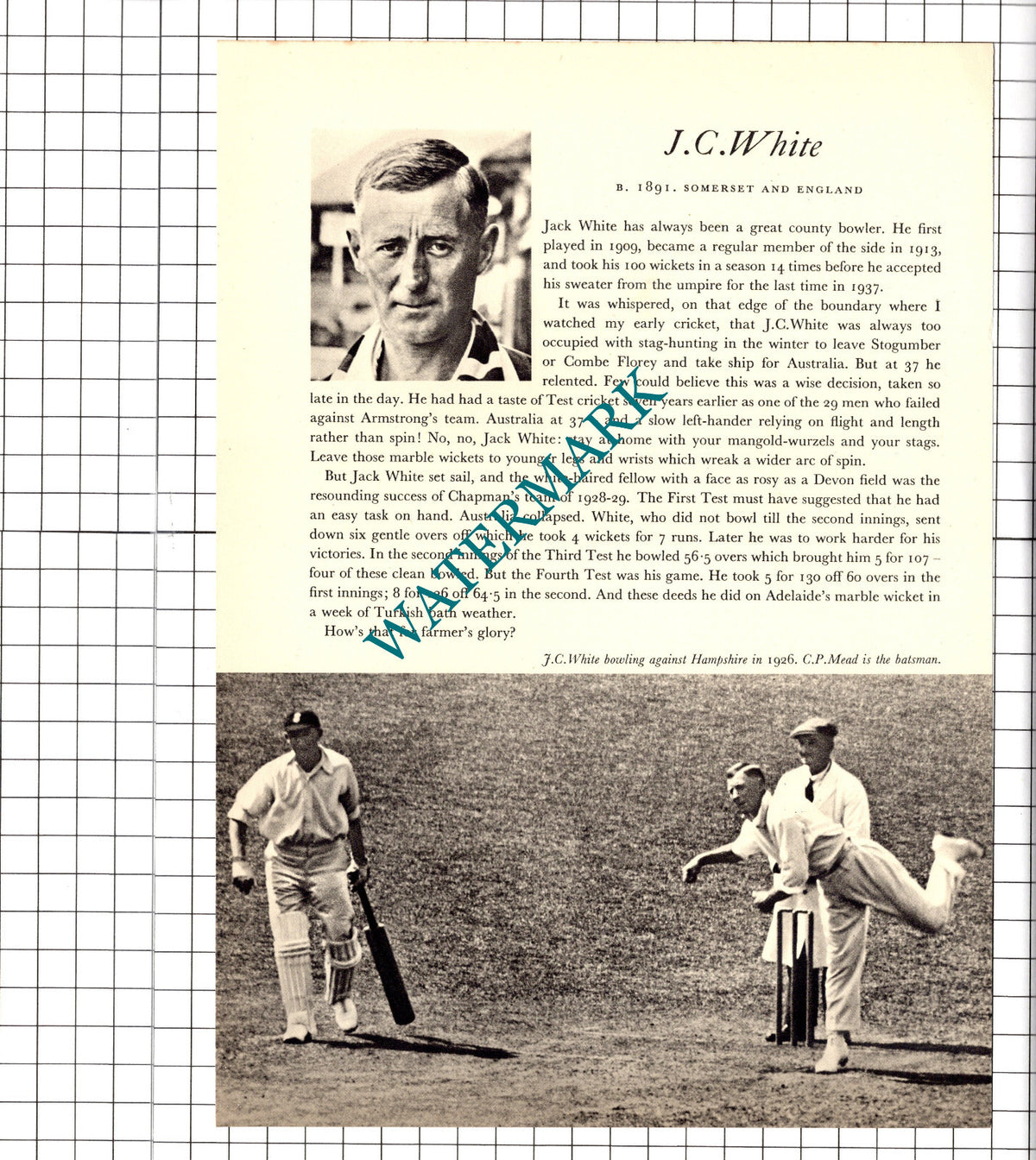 VWC Jupp Cricketer / Jack White J C White Cricket - 1952 Book Print