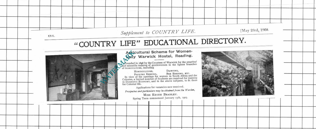Lady Warwick Hostel Reading Berkshire Mrs Edith Bradley - 1903 Advert / Print