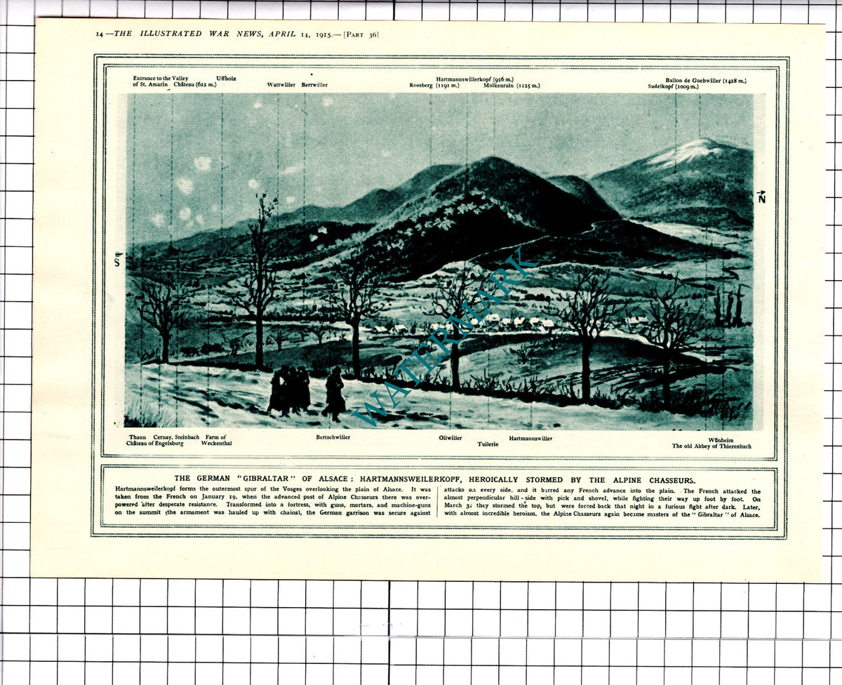 Hartmannsweilerkopf Alpine Chasseurs Great War WW1 - 1915 Clipping/ Print