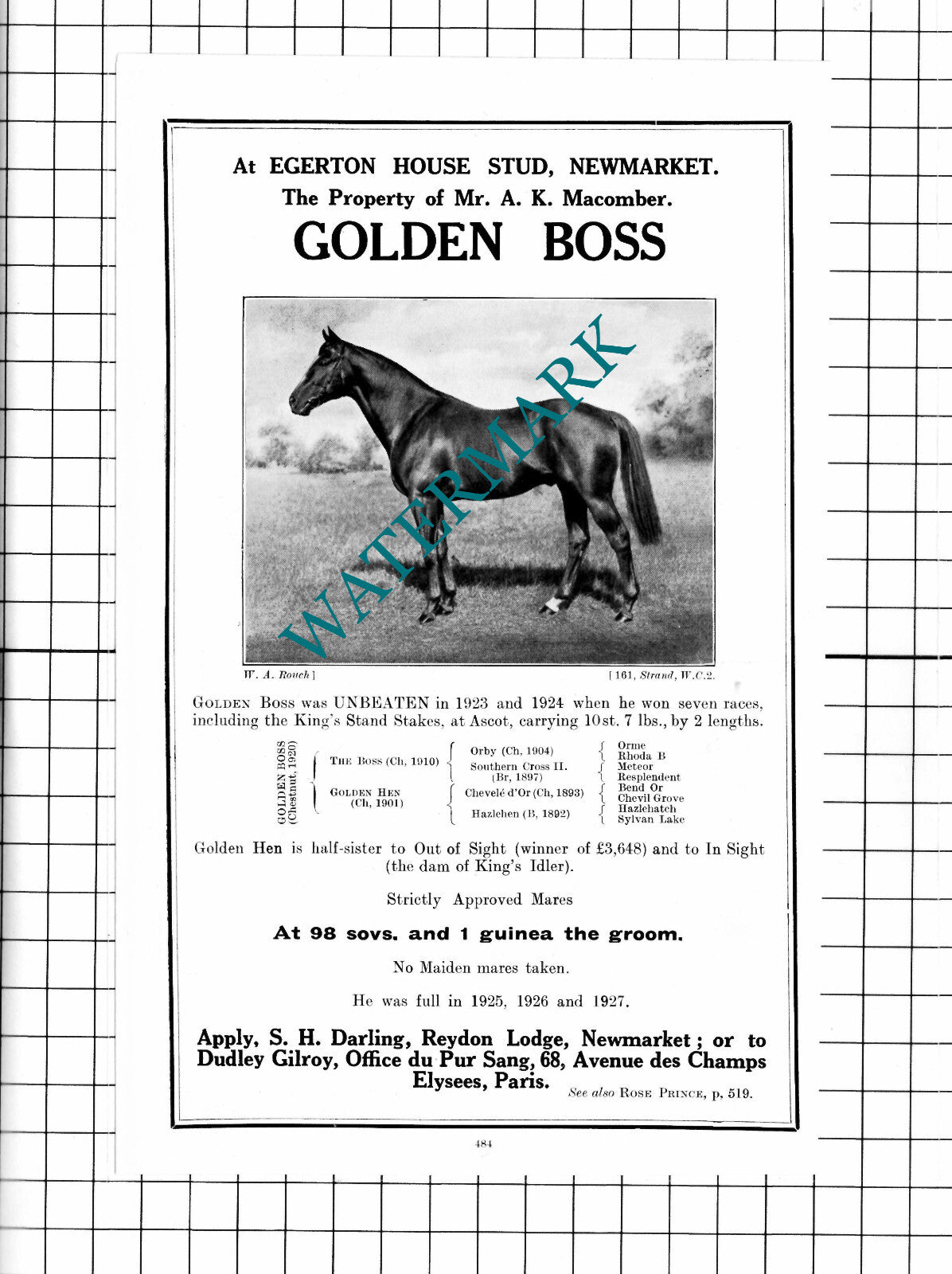 Macomber Egerton House Stud Newmarket GOLDEN BOSS Racehorse - 1927 Advert
