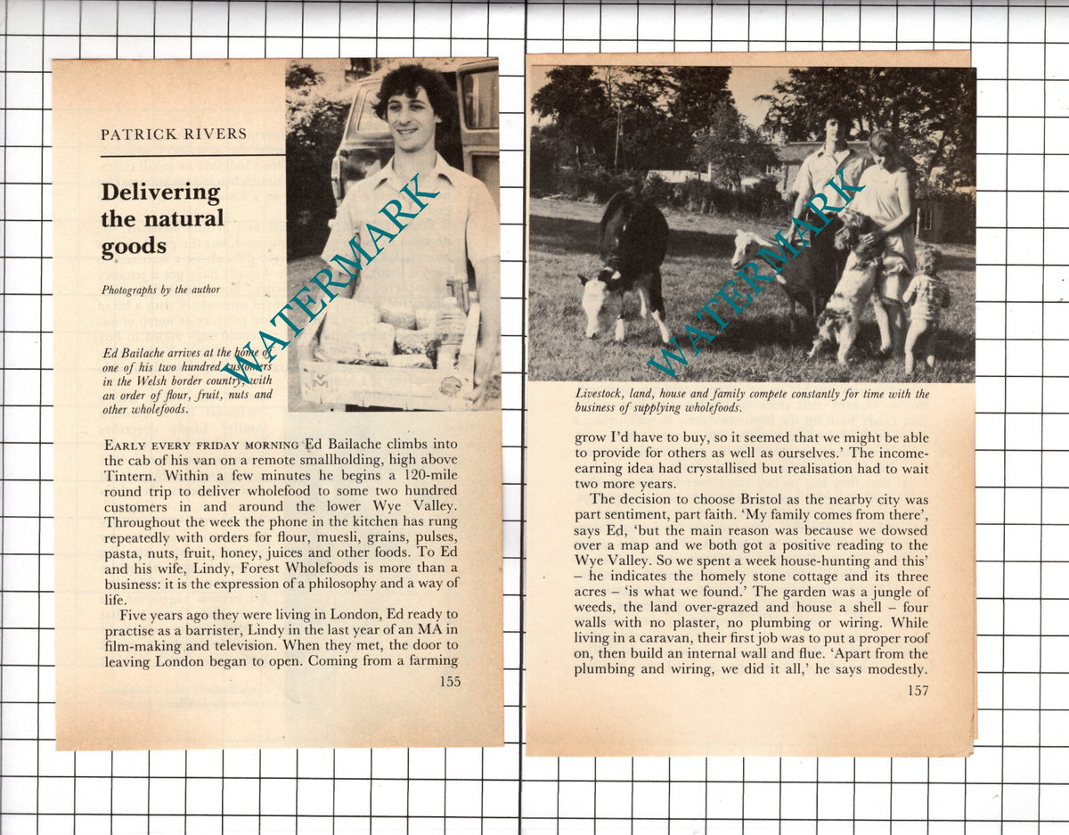 Forest Wholefoods Tintern Wye Valley Bailache - 1982 Small Article