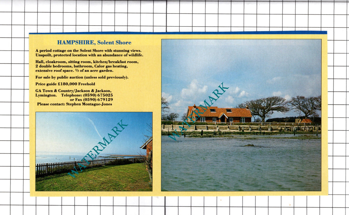 Solent Shore Hampshire House Sale Advert- 1991 Cutting