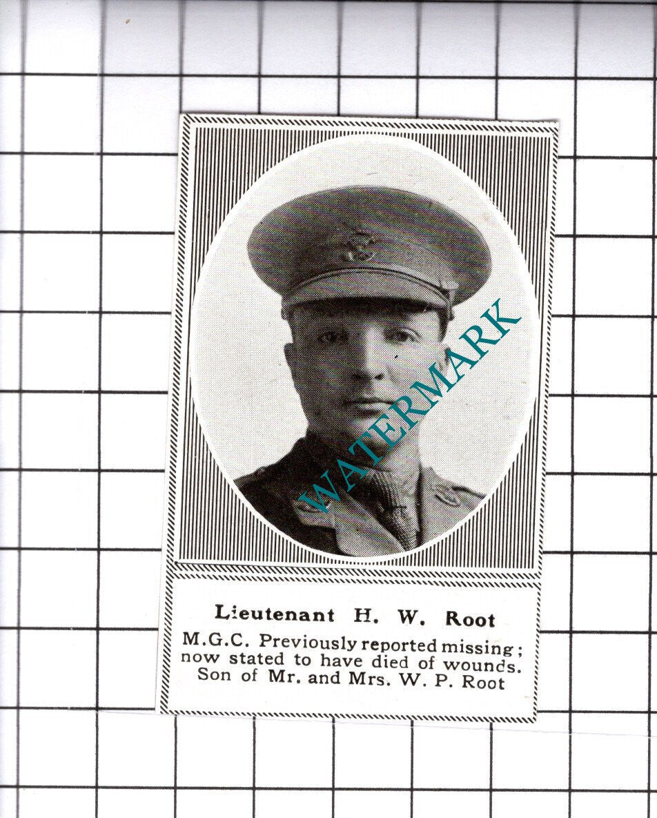 Lt H W Root MGC Great War WW1 - 1919 SMALL Cutting