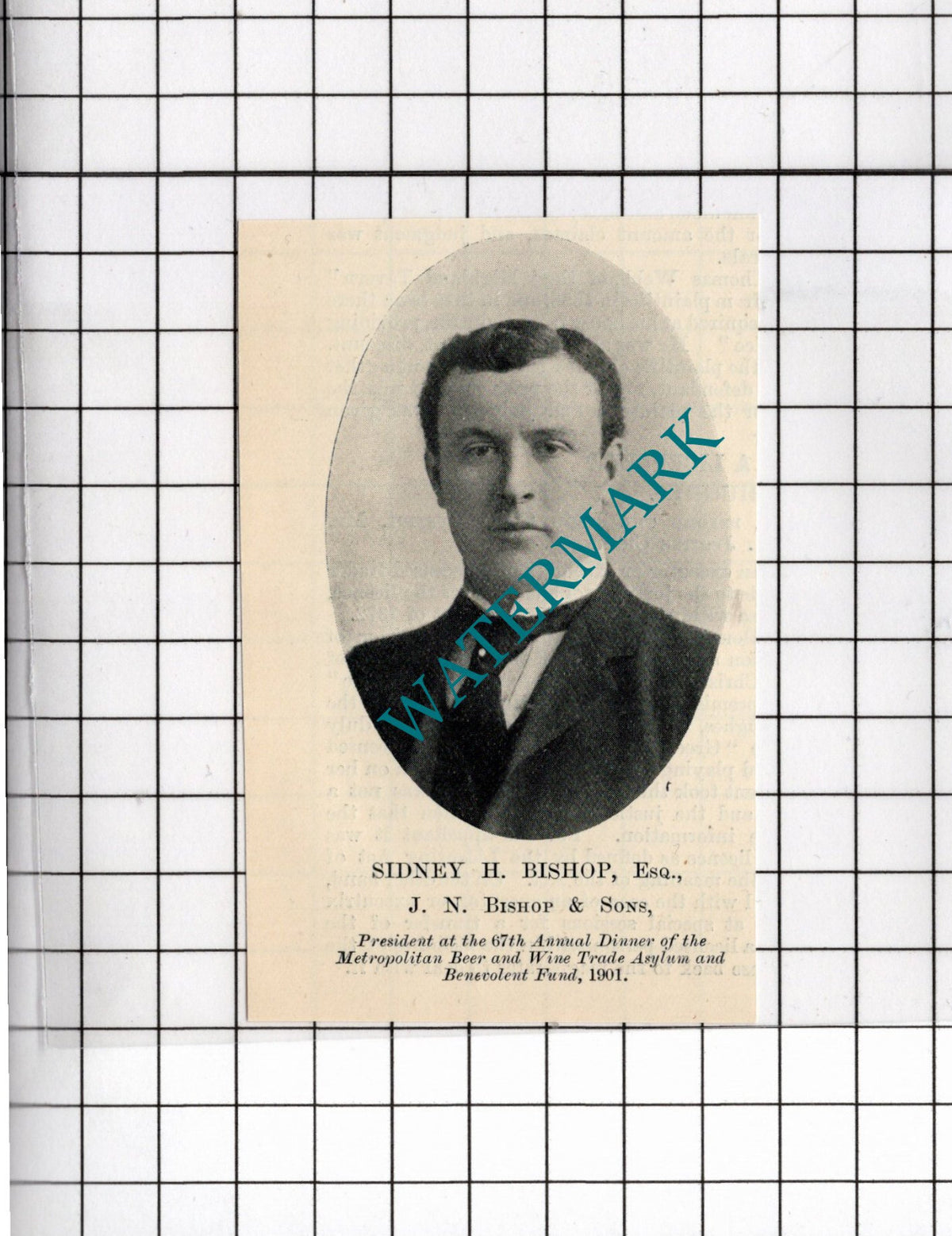 Sidney H Bishop JN Bishop & Sons - 1902 SMALL Cutting