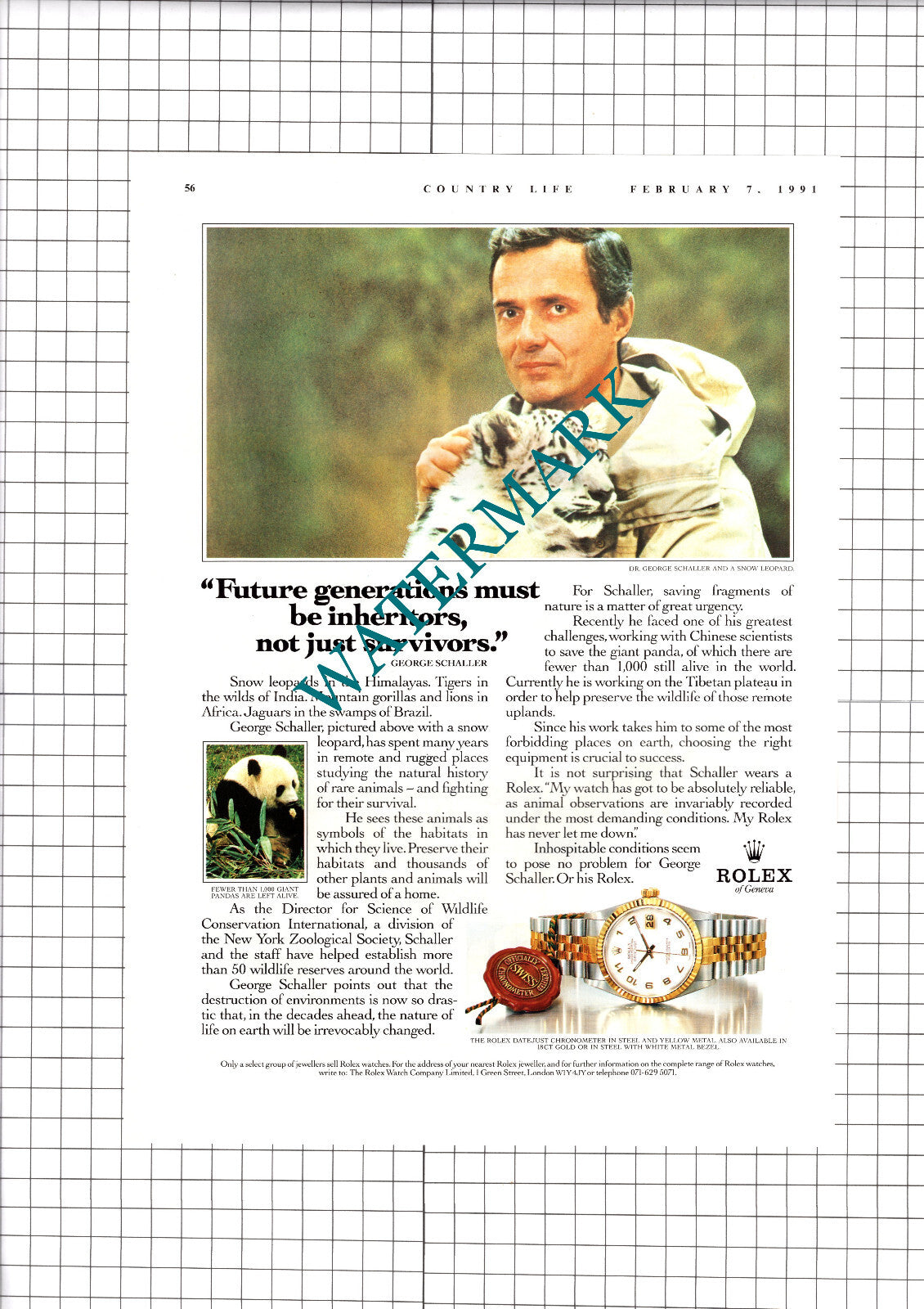 Dr George Schaller Rolex Watch Advert - 1991 Clipping / Print