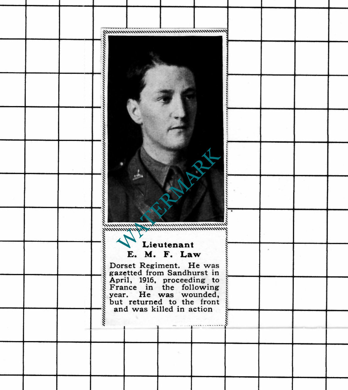 Lt E M F Law Dorset Regiment WW1 Great War - c.1918 SMALL Clipping