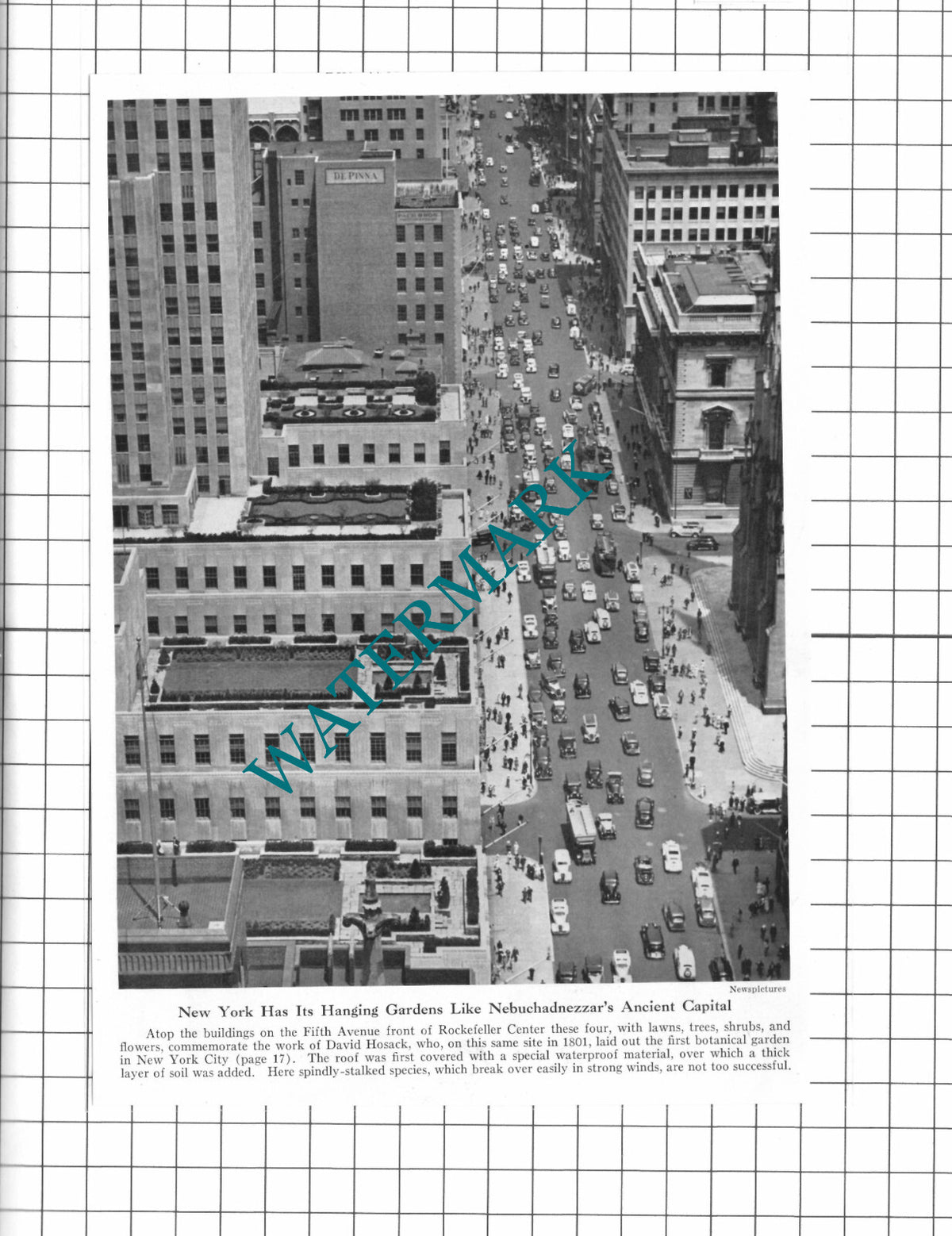 Fifth Avenue New York USA Rockefeller Cntr David Hosack - 1947 Clipping / Print