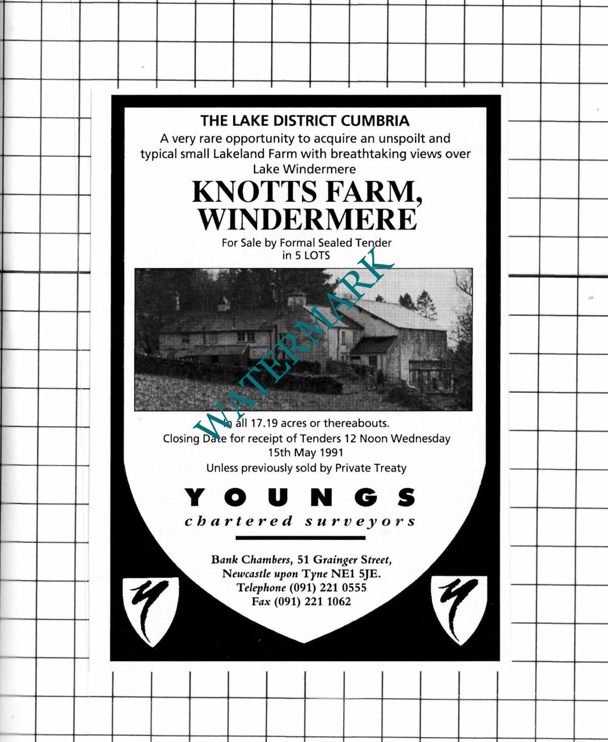Knotts Farm Windermere Sale Advert - 1991 Clipping / Print