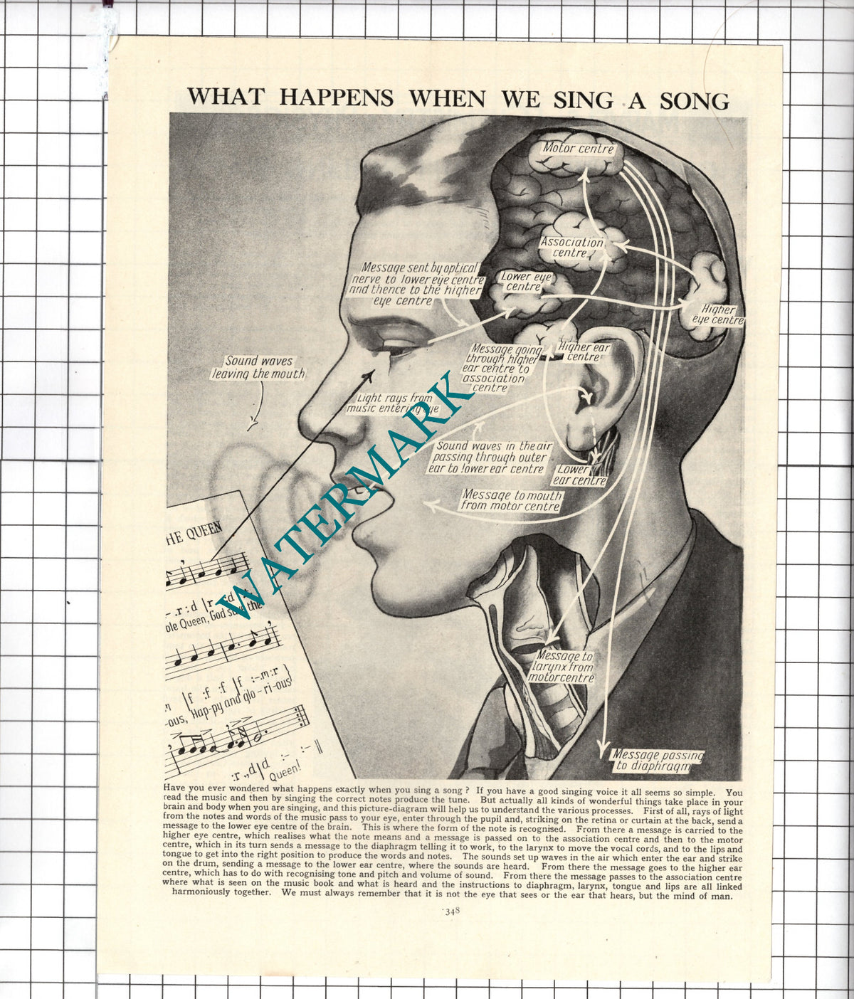 What Happens When We Sing Singing - c.1940's Cutting