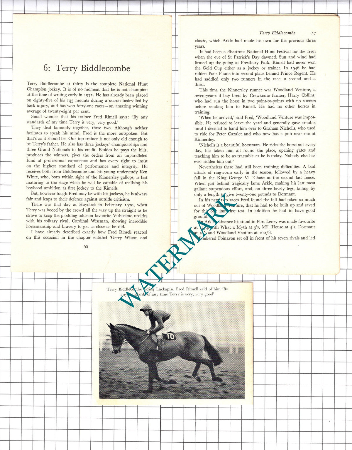 Terry Biddlecombe Horse Jockey - 1970s Article
