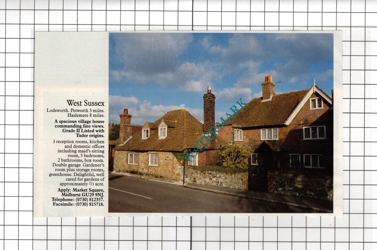 Lodsworth West Sussex House Sale Advert - 1991 Cutting