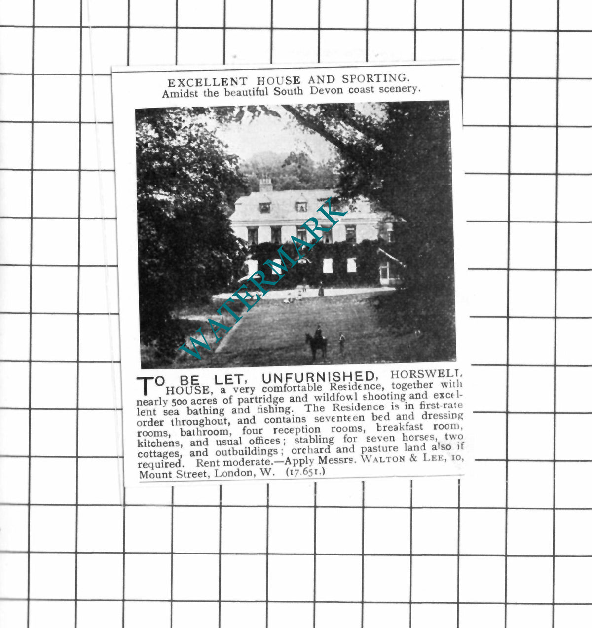 Horswell House Devon Letting Advert - 1903 SMALL Clipping