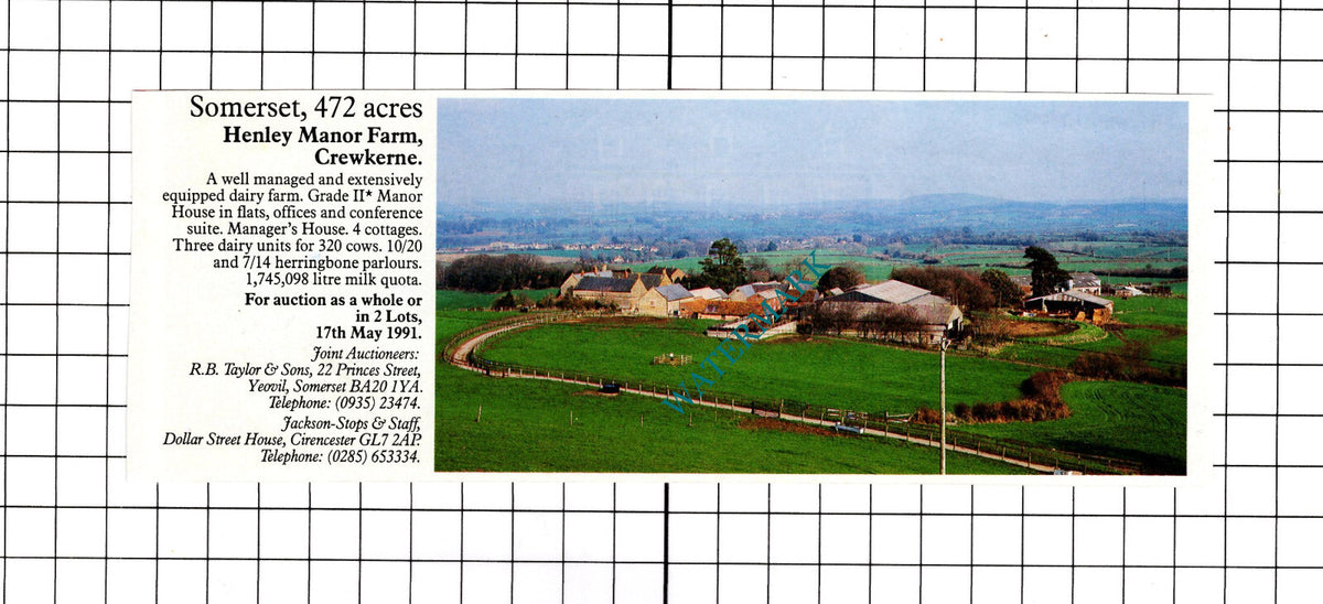 Henley Manor Farm Crewkerne Somerset Sale Advert - 1991 Clipping / Print
