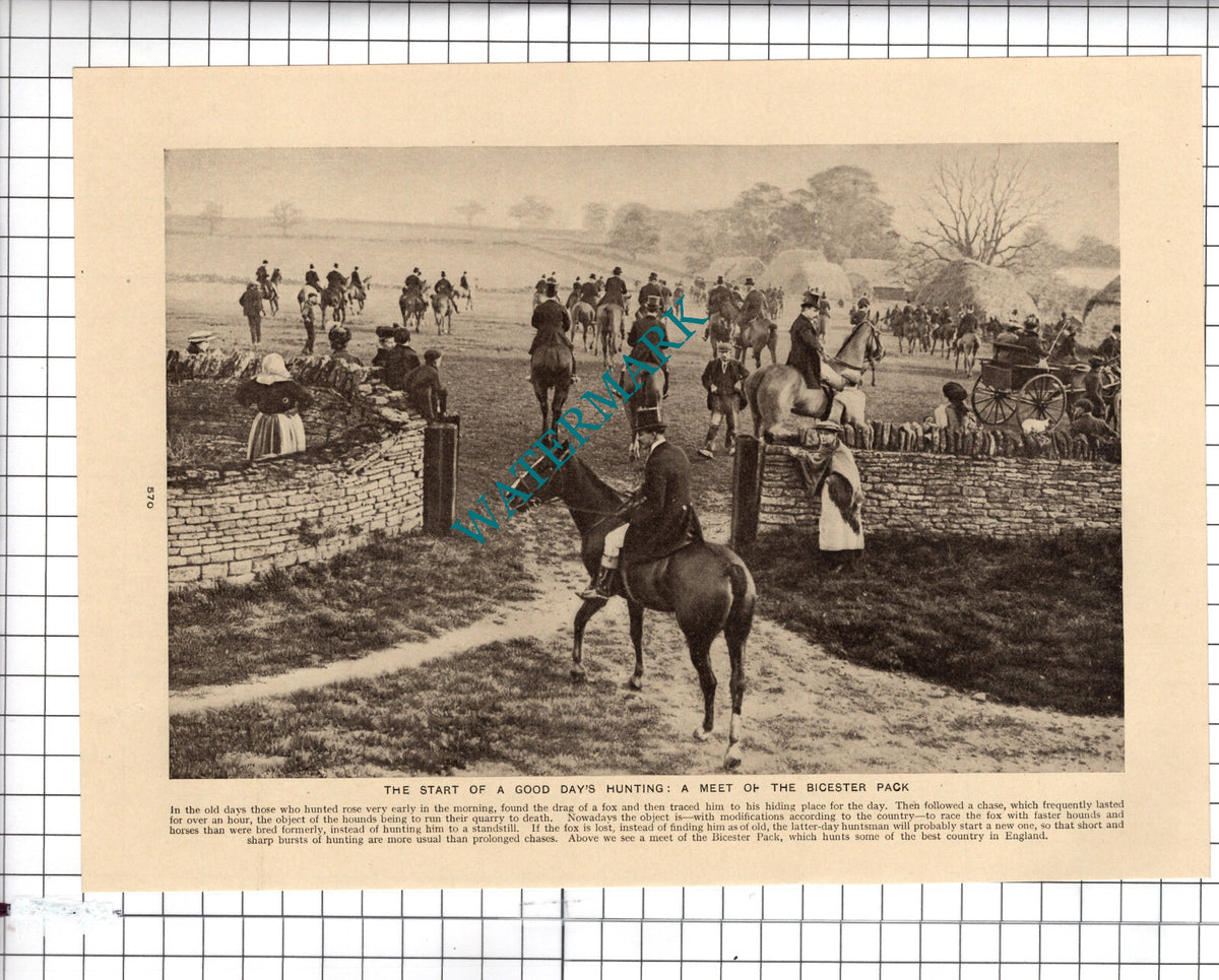 Bicester Pack Fox Hunting - c.1930's Cutting
