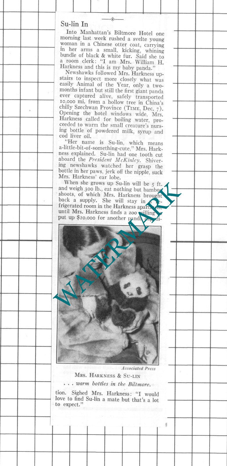 Mrs William Harkness Biltmore Hotel Manhattan - 1937 Small Clipping / Print
