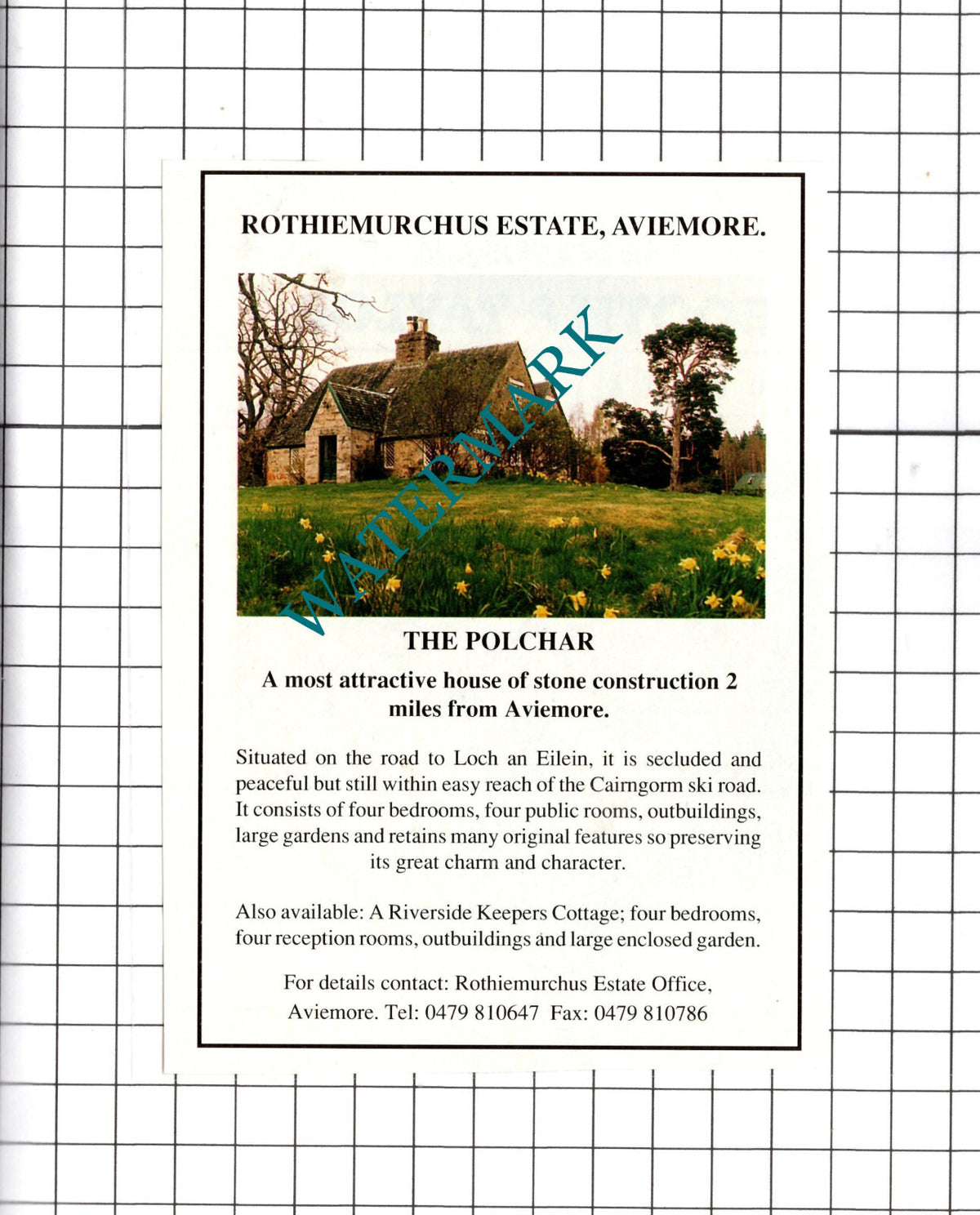 The Polchar Rothiemurchus Estate Aviemore House Sale Advert- 1991 Cutting