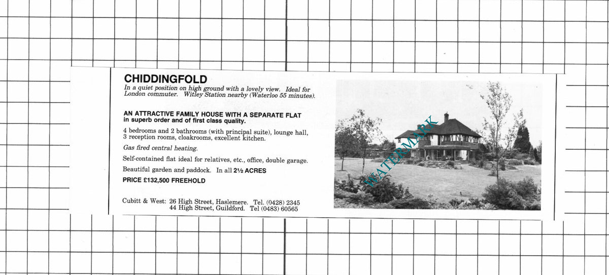 Chiddingfold Surrey House Sale Advert - 1980 Clipping / Print