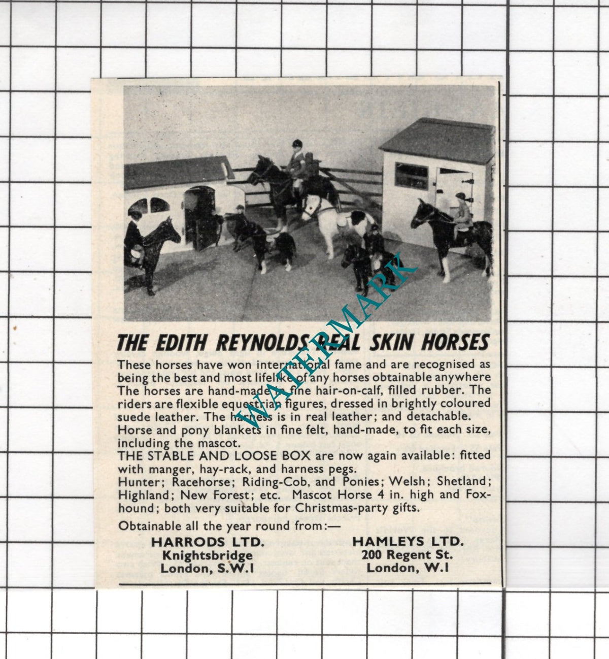 Edith Reynolds Real Skin Horses ADVERT ONLY!! - 1962 Small Advert