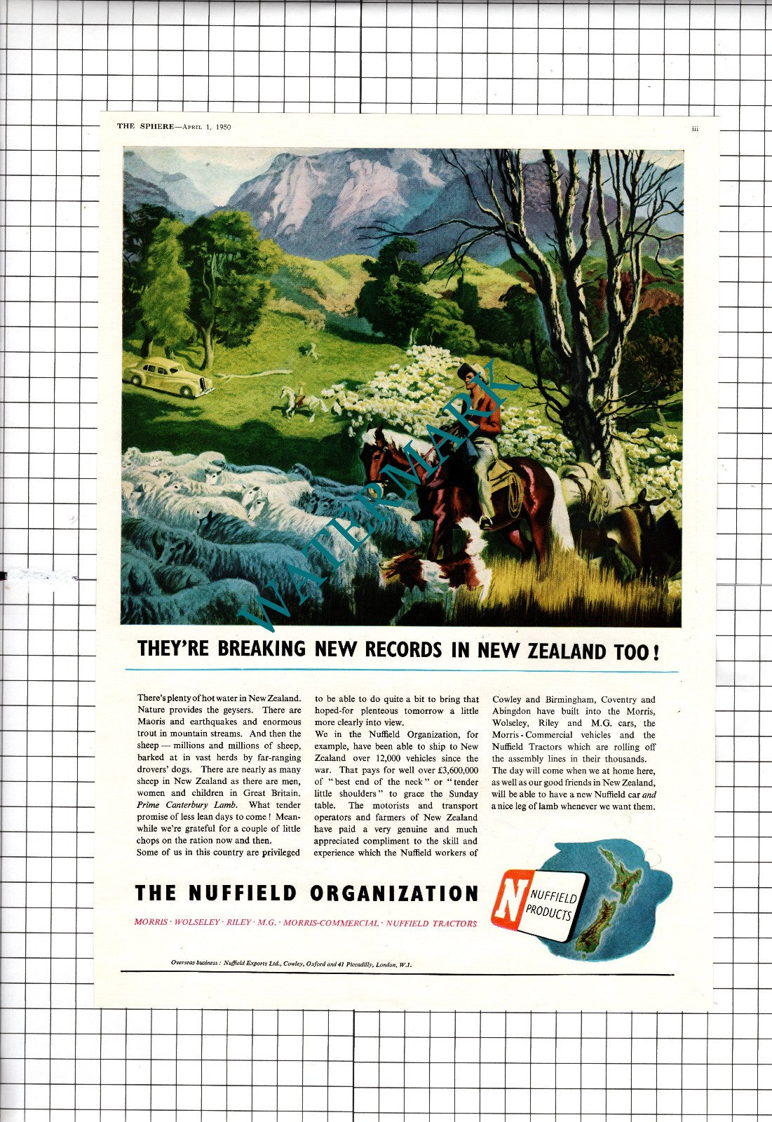 The Nuffield Organization Advert New Zealand - 1950 Clipping