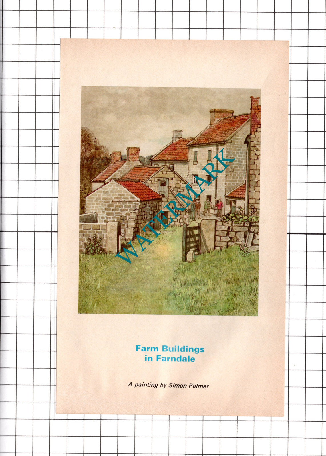 Farndale Yorkshire Farm - 1978 Clipping / Print