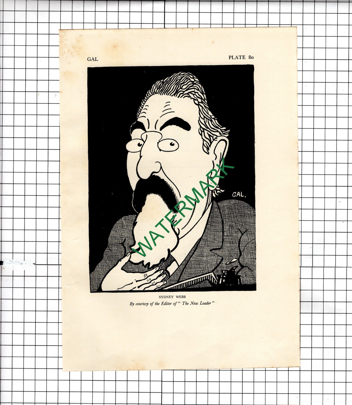 Sydney Webb Caricature Gal - 1928 Clipping / Illustration