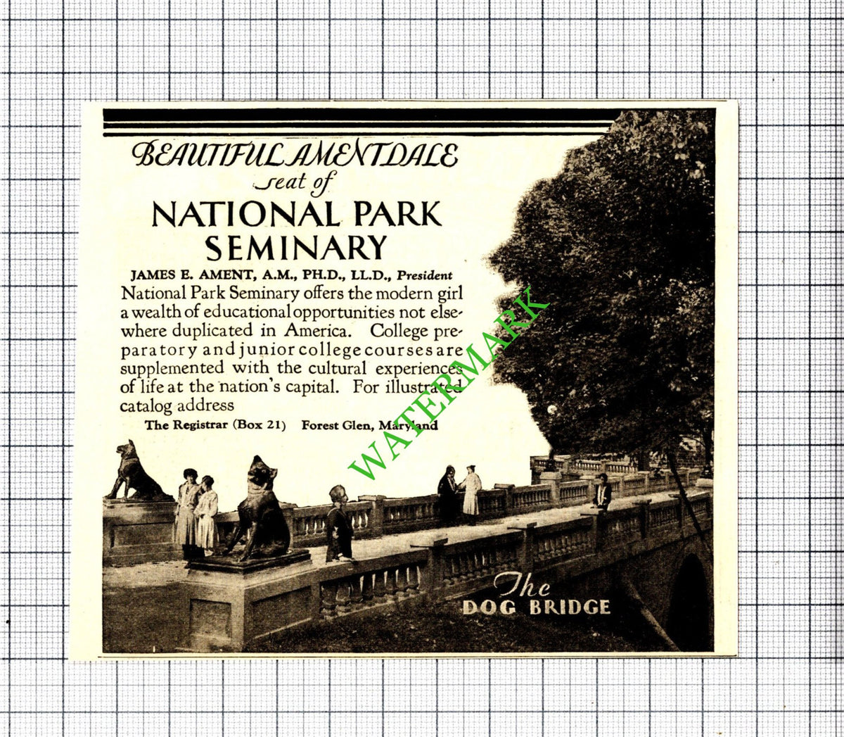 National Park Seminary James E Ament Dog Bridge Small Advert - 1929 Cutting