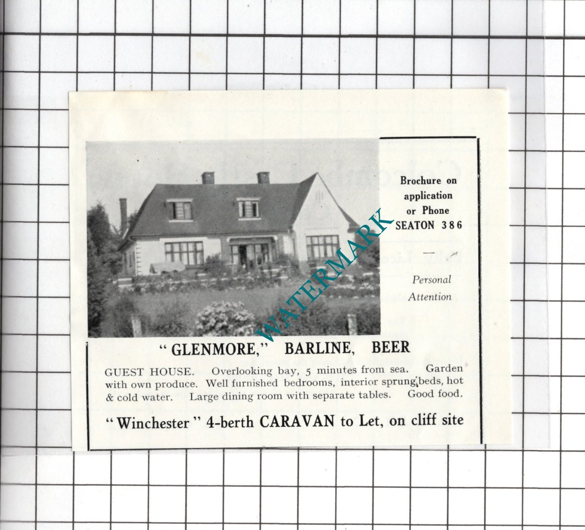 Glenmore Guest House Barline Beer Devon - c.1954 Small Advert