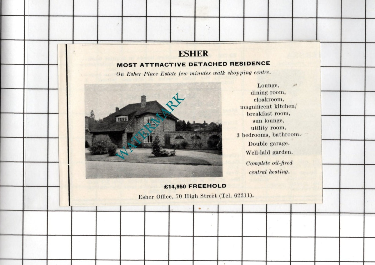 Esher Surrey - 1967 SMALL House Advert