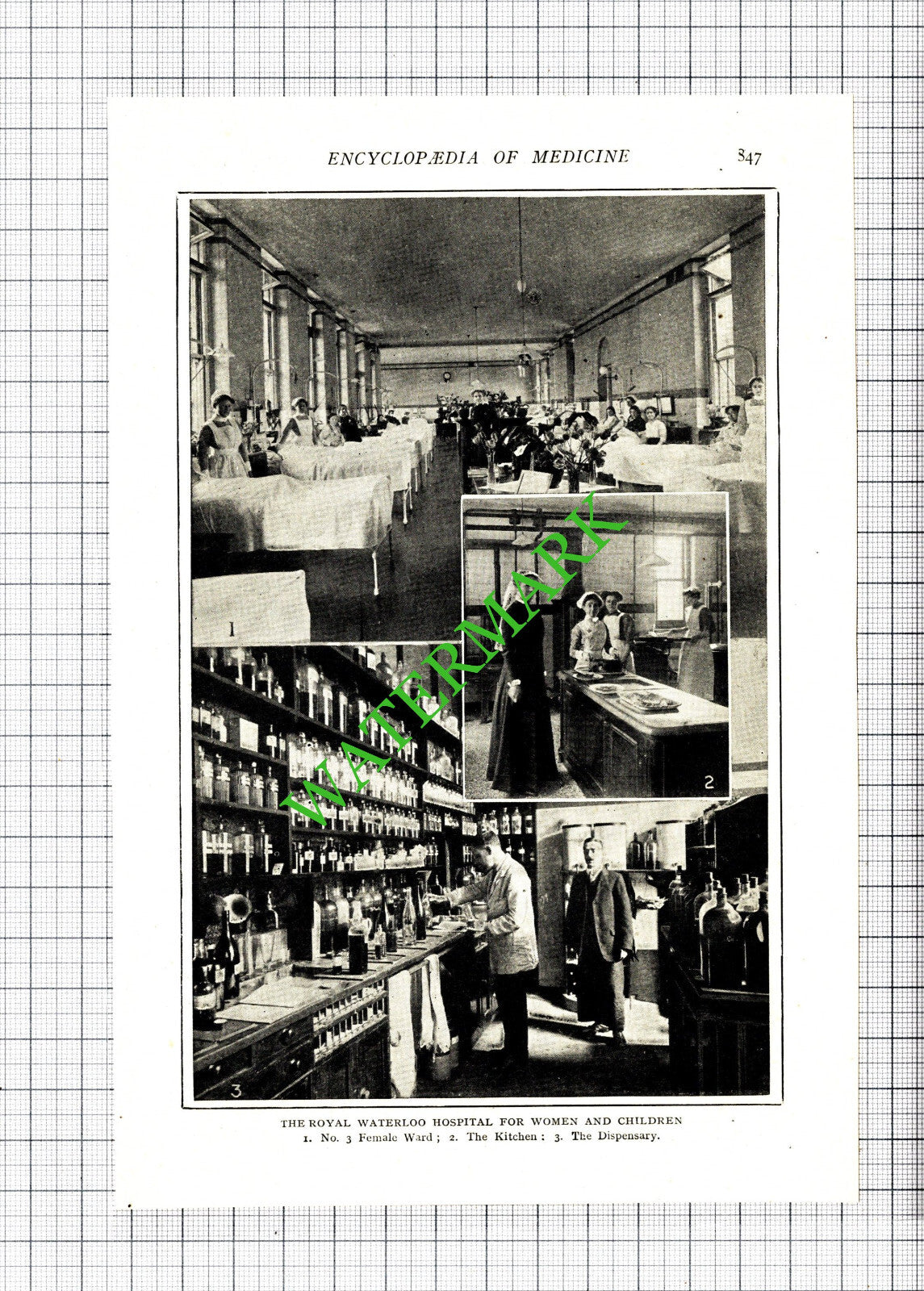 The Royal Waterloo Hospital London Interior - 1914 Cutting / Print